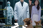 短剧《病犬危机》68集短剧高清完整版在线畅享