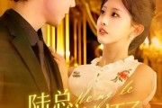 短剧《陆总，夫人她怀了您的崽》89集短剧在线解锁全集观看