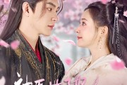 短剧《神医世子妃被全家宠上天》80集短剧蓝光画质独家放送