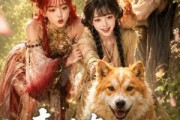 短剧《青莲农宝之我的家禽是上古凶兽》19集短剧全集在线免费畅享