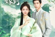 短剧《超萌小医仙嫁到》63集短剧高清无删减版免费观看