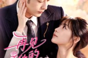 短剧《再见他的小玫瑰》98集短剧超清画质在线免费追