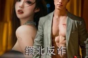 短剧《缅北反诈江湖情（86集）》江湖儿女，共筑反诈长城