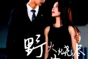 短剧《野火烧尽芳草时》65集短剧全集在线观看无删减