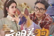 短剧《文明养狗人人有责》44集短剧1080P高清画质在线观看