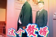 短剧《这个赘婿不好惹》27集短剧免费观看高清无广告
