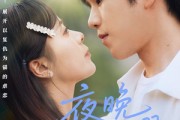 短剧《夜晚群星闪耀》70集短剧1080P高清全集在线流畅观看