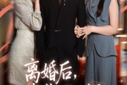短剧《离婚后我收回一切你哭什么》62集短剧无广告免费观看