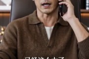 短剧《布衣怀金》31集短剧全集资源免费在线看