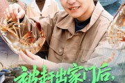 短剧《被赶出家门后，我系统激活了》81集短剧高清全集在线速看