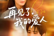 短剧《再见了我的爱人》62集短剧极速播放流畅体验