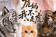 短剧《虎妈我不是虎》38集短剧完整版免费畅享观看