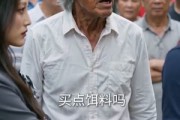 短剧《掌家三年，我倒欠婆家十万块》82集短剧在线观看全集不卡