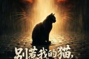 短剧《别惹我的猫，它是远古魔神！》56集短剧1080P高清免费在线看