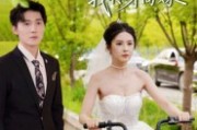 短剧《爱意燃尽，我转身高嫁》65集短剧高清无删减版免费观看