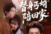 短剧《替身丐婿陪回家》35集短剧全集解锁一次看过瘾