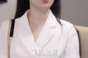 短剧《退休返聘之大夏机长》98集短剧免费看全集高清无广告