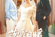 短剧《落霞日暖故人情》85集短剧超清无码全集免费览