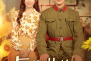 短剧《与你共赴岁月长》100集短剧无广告完整版在线看