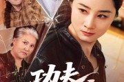 短剧《功夫丈母娘》55集短剧全集免费在线追