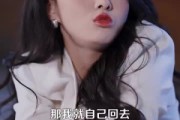 短剧《引他归航》80集短剧1080P高清免费观看
