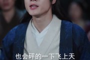 短剧《布衣天下》80集短剧免费看全集不卡顿