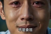 短剧《承包废石厂后，我靠雕刻发家致富》27集短剧在线解锁全集观看