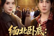 短剧《缅北卧底：大嫂团都成我队友》71集短剧完整版免费畅享