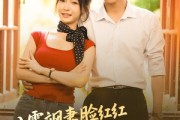 短剧《八零飒妻脸红红硬汉老公追着宠》79集短剧极速播放流畅体验