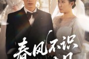 短剧《春风不识旧时月》62集短剧官网正版高清在线观看