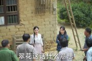 短剧《小财星有亿点粮》50集短剧全集抢先看在线播放