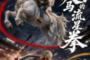 短剧《别惹我的天马流星拳》40集短剧免费在线追全集
