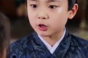 短剧《山风入京华》33集短剧高清全集在线一键观看