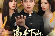 短剧《高手下山我不当赘婿》66集短剧无广告高清免费看