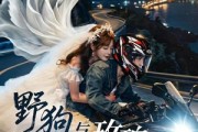 短剧《野狗与玫瑰》30集短剧全集资源免费在线看