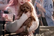 短剧《听见动物心声后我直播爆红了》30集短剧免费在线看完整版