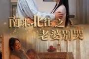 短剧《南来北往之老婆别哭（87集）》风雨同舟，共渡难关