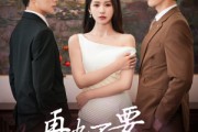 短剧《再也不要爱你》79集短剧手机在线观看完整版