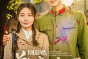短剧《刚退婚，首长亲孙就打了结婚报告》81集短剧无广告完整观看