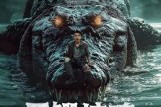 短剧《巨鳄惊魂》85集短剧完整版在线免费观看