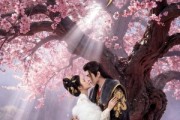短剧《误把女娇娥，错认同袍臣》28集短剧免费在线畅享全集