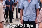 短剧《林断风起山门已开》52集短剧免费在线观看完整版