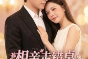 短剧《相亲走错桌，沈夫人别来无恙》70集短剧超清画质在线看