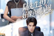 短剧《陆先生我们好像在哪见过》70集短剧手机高清在线观看