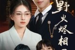 短剧《野火烬相思》61集短剧免费在线看完整剧情