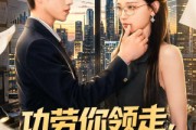 短剧《功劳你领走，烂摊子我不管》63集短剧免费畅享高清全集