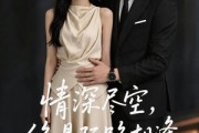短剧《情深尽空，终是陌路相逢》52集短剧超清画质在线追剧