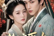 短剧《替嫁医女：世子他装病骗全府》42集短剧高清在线观看无广告