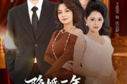 短剧《隐婚三年我让前妻高攀不起》85集短剧超清画质免费畅看