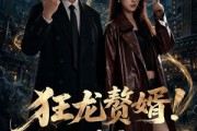 短剧《狂龙赘婿！揽冷妻夜巡》80集短剧畅享全集高清体验